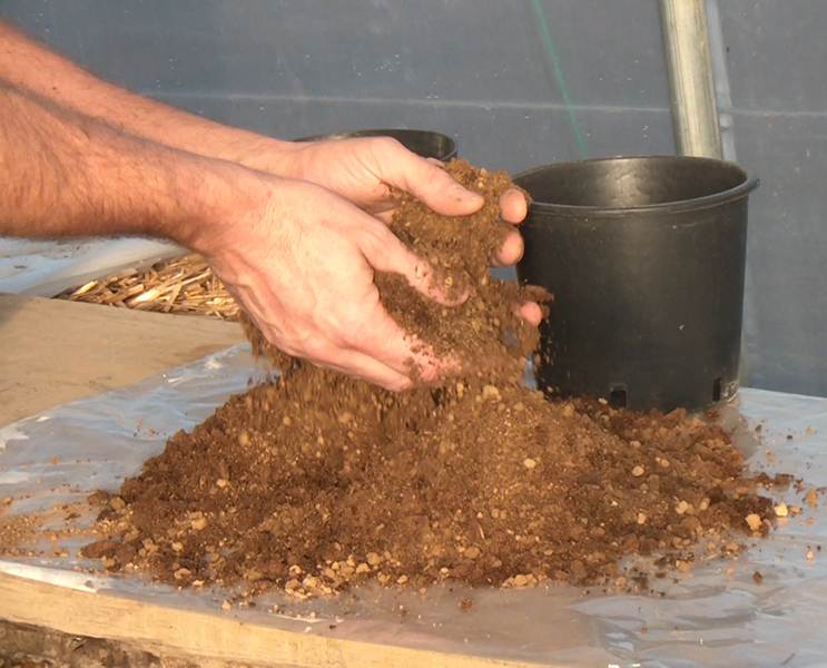 Peat, mixed with clay soil, for water plants