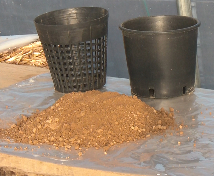 Clay soil for water plants