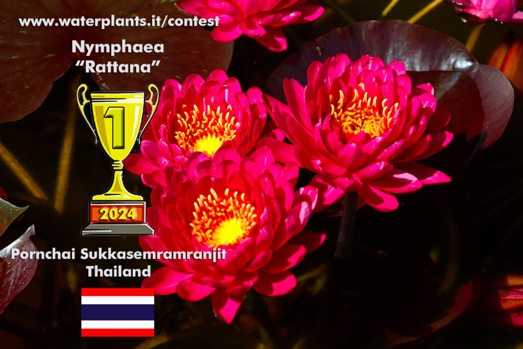 Rattana